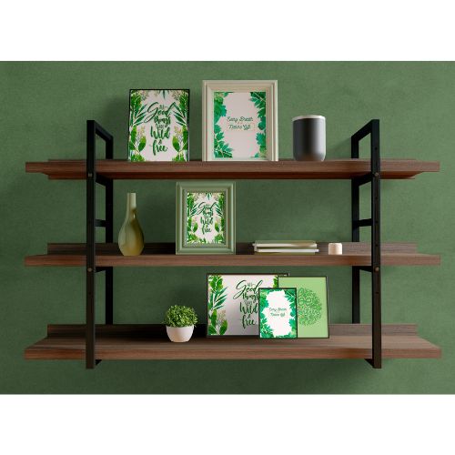 TaylorFam 3-Shelf Wall Rack